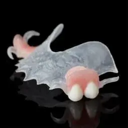 VisiClear Partial Dentures - Dentist Directed  - Impression Kit Included - Image 6